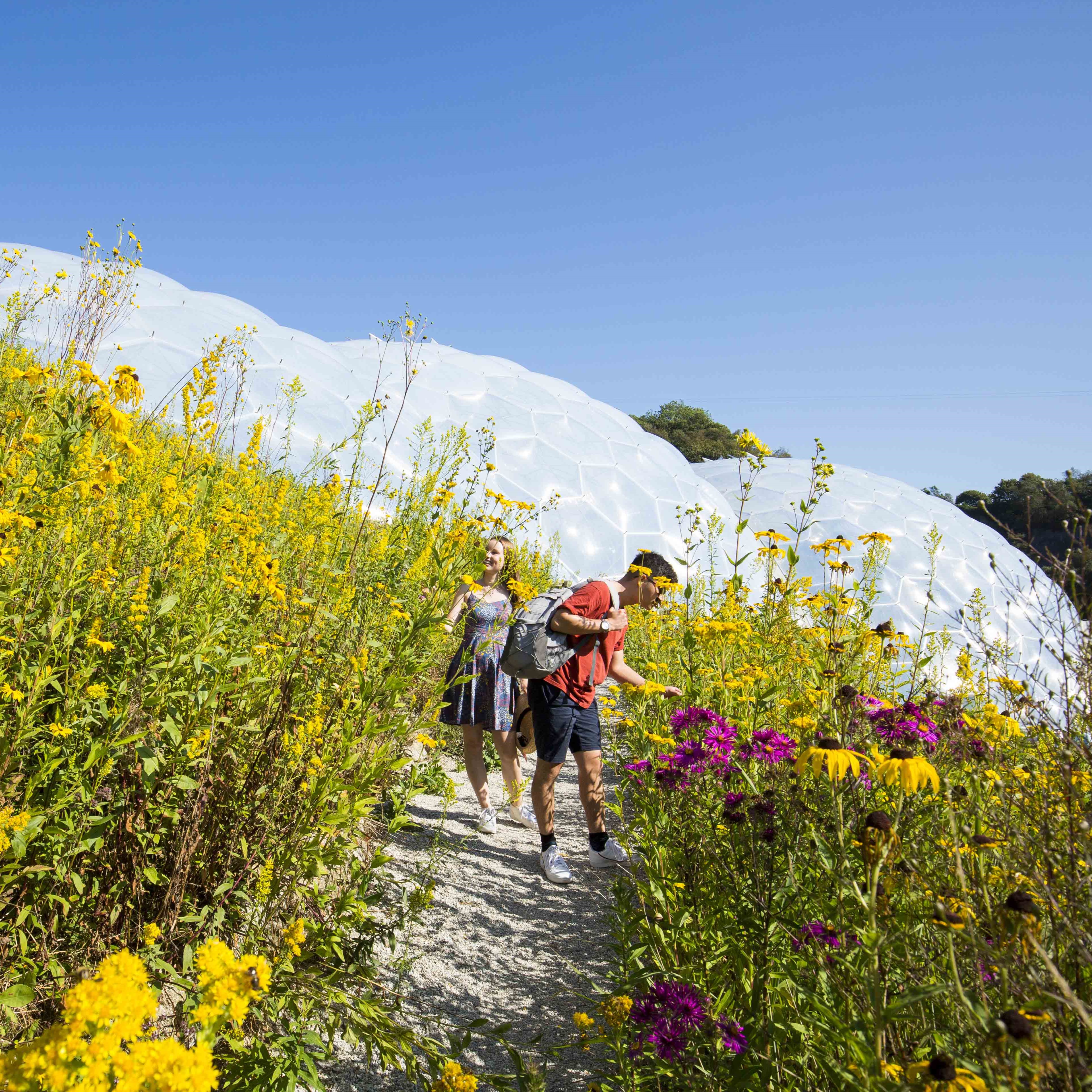 Events in Cornwall This Summer 